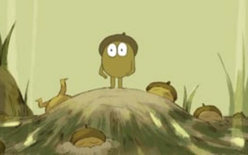 Acorn