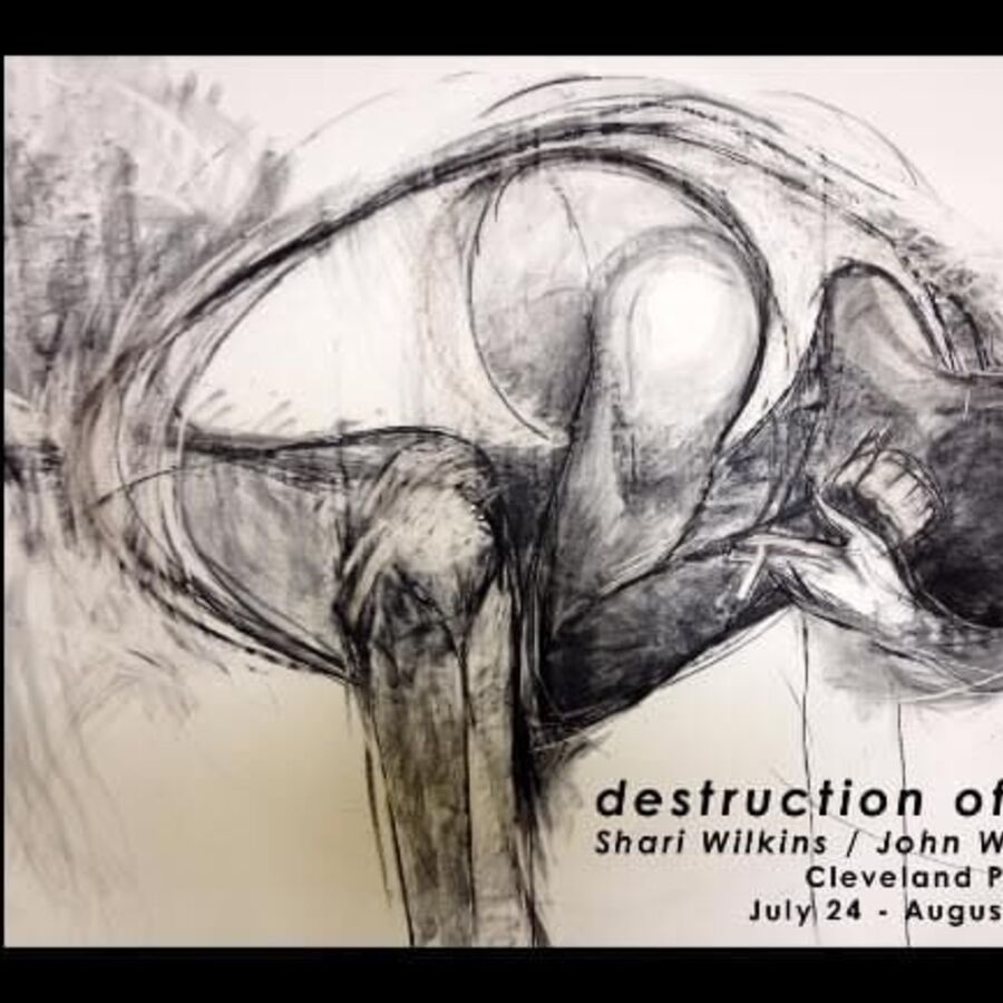 destruction-of-form